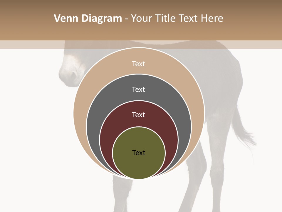 Ass Headstrong Dun PowerPoint Template
