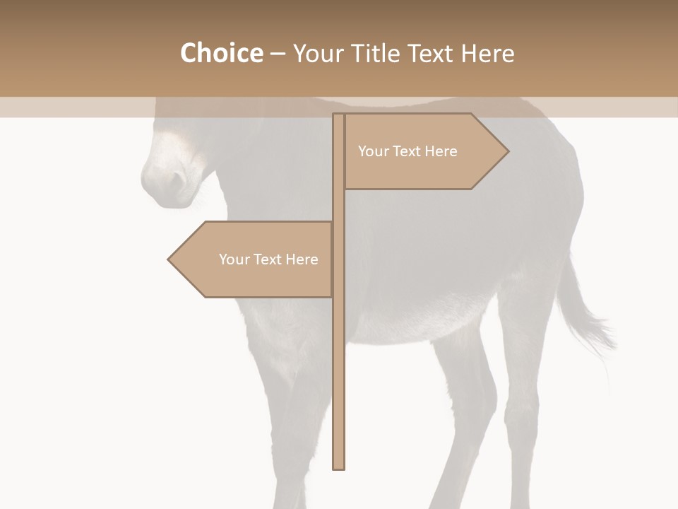 Ass Headstrong Dun PowerPoint Template