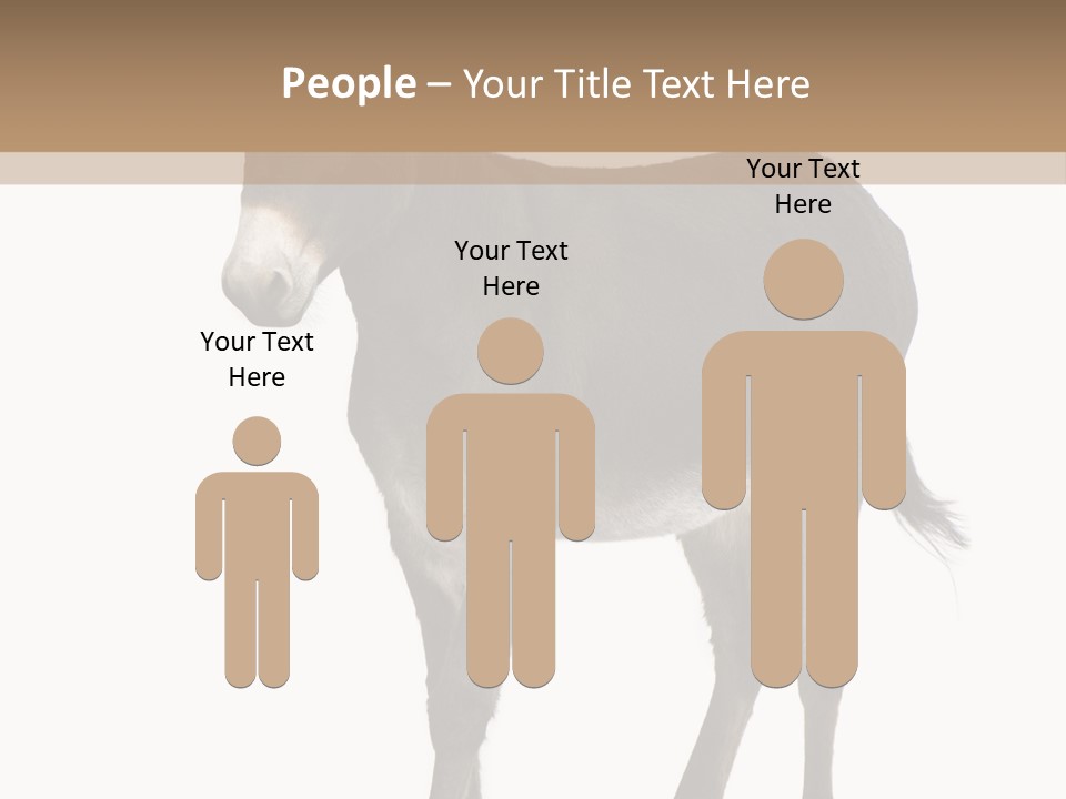 Ass Headstrong Dun PowerPoint Template