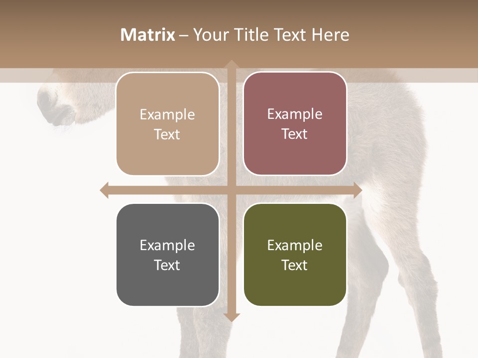 Portrait Baby Whinny PowerPoint Template