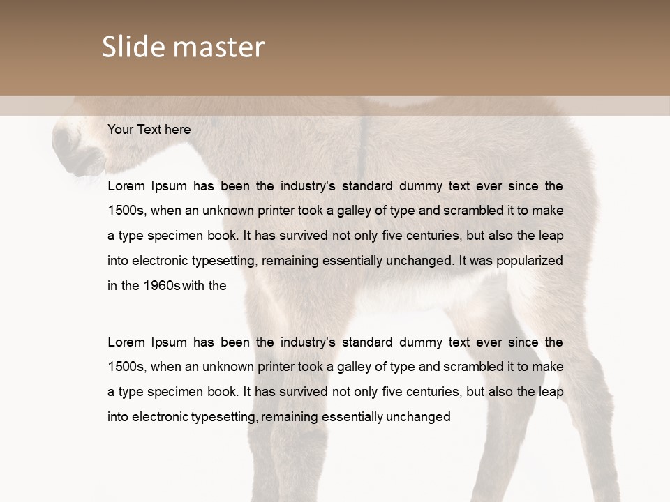 Portrait Baby Whinny PowerPoint Template