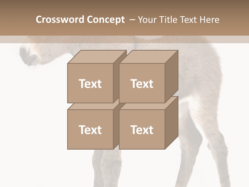 Portrait Baby Whinny PowerPoint Template