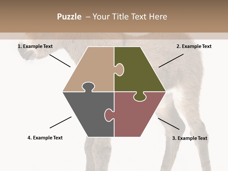 Portrait Baby Whinny PowerPoint Template