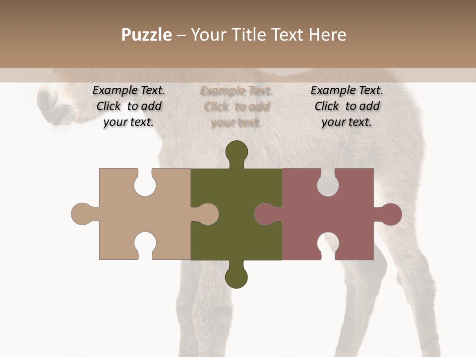 Portrait Baby Whinny PowerPoint Template