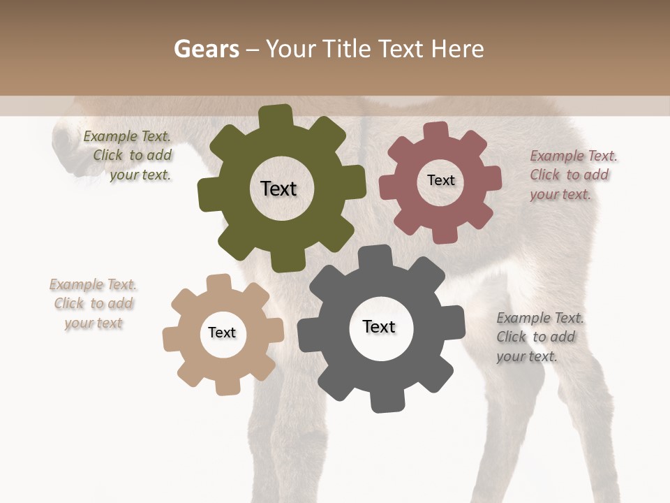 Portrait Baby Whinny PowerPoint Template