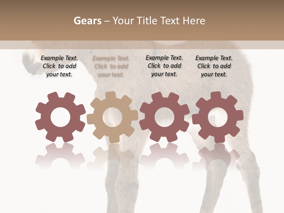 Portrait Baby Whinny PowerPoint Template