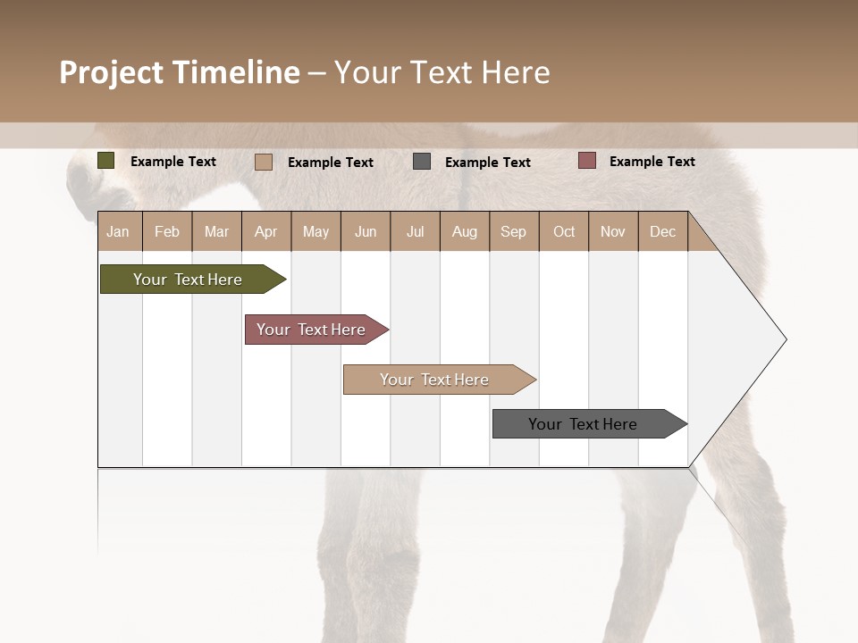 Portrait Baby Whinny PowerPoint Template