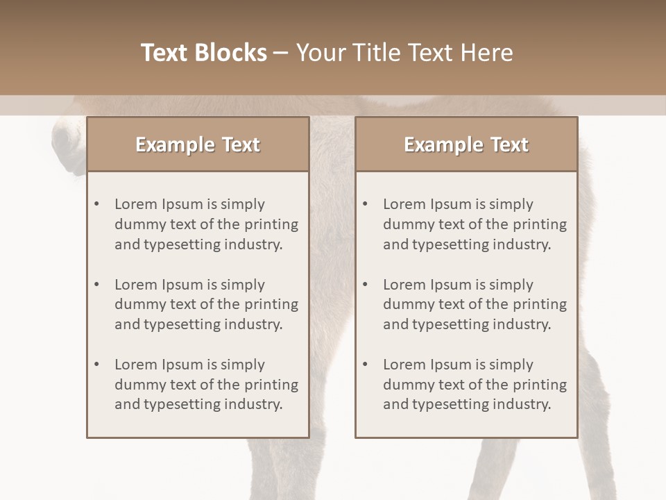 Portrait Baby Whinny PowerPoint Template