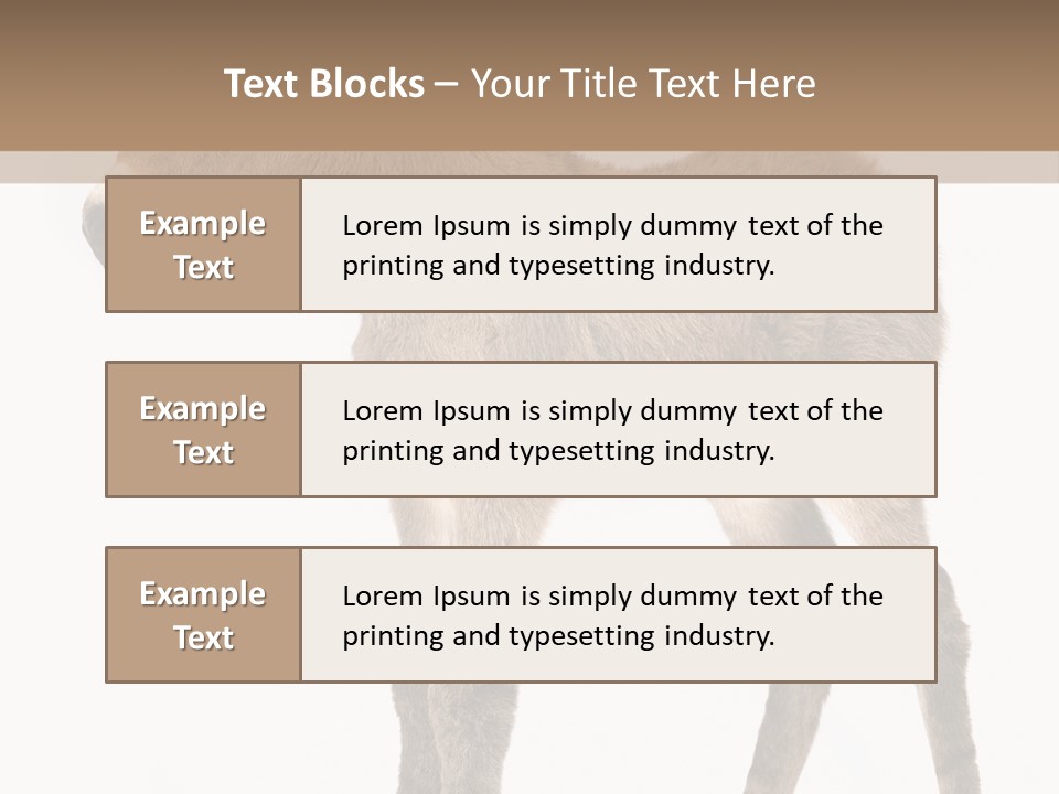 Portrait Baby Whinny PowerPoint Template