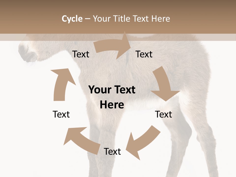 Portrait Baby Whinny PowerPoint Template