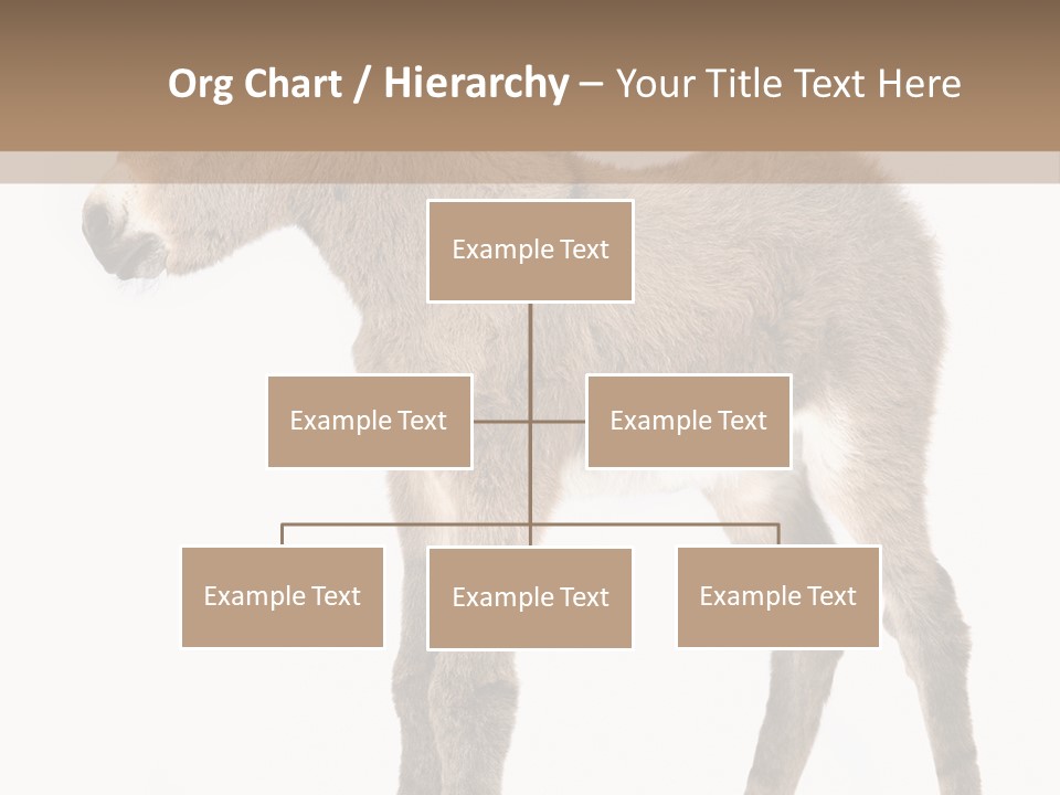 Portrait Baby Whinny PowerPoint Template