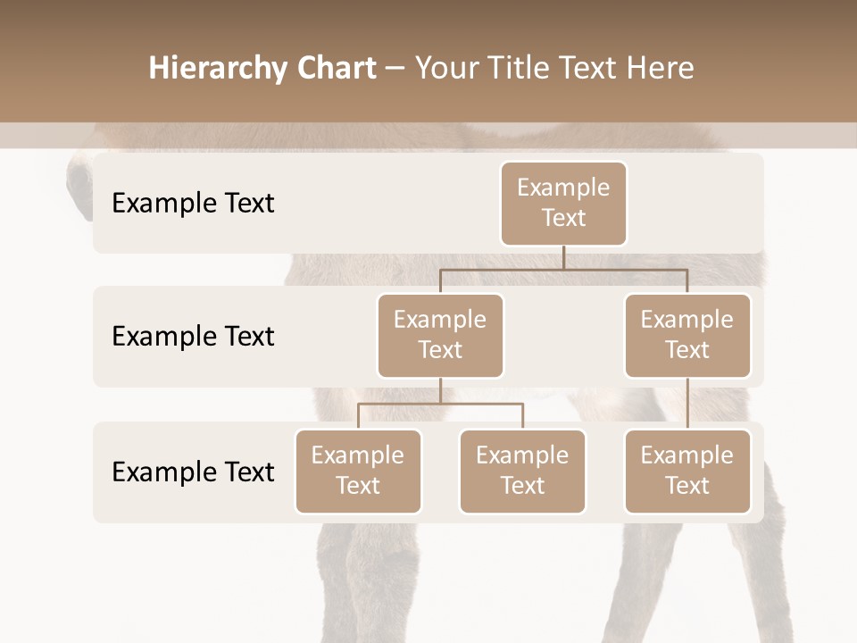 Portrait Baby Whinny PowerPoint Template