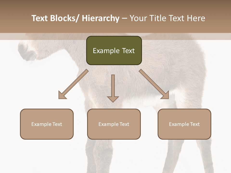 Portrait Baby Whinny PowerPoint Template