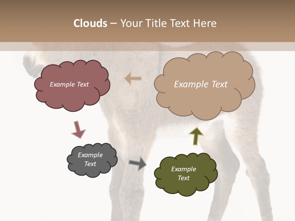 Portrait Baby Whinny PowerPoint Template
