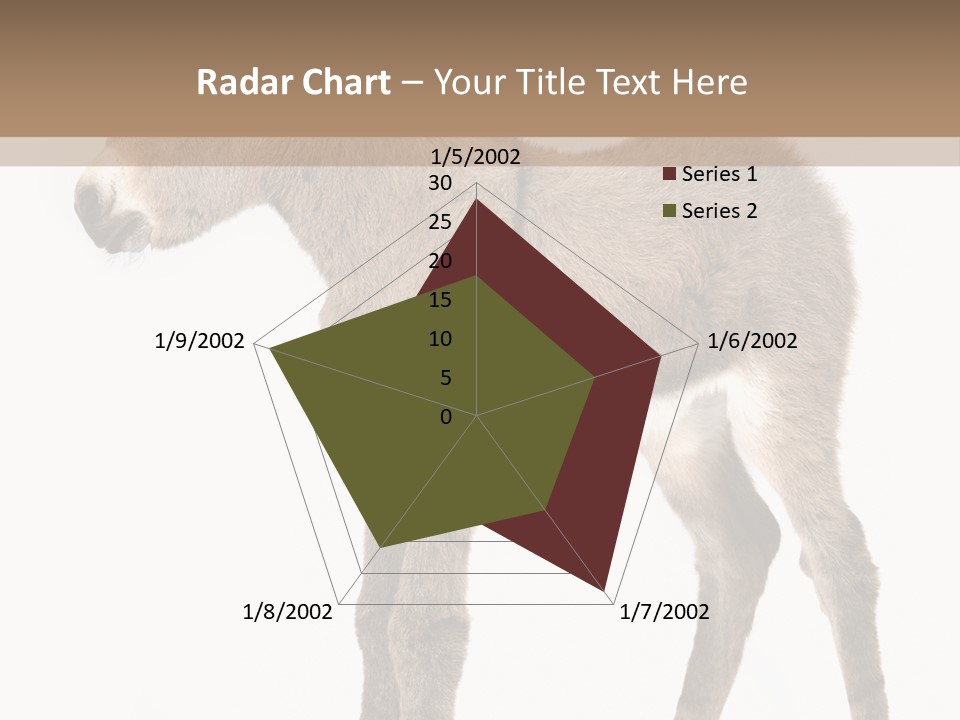 Portrait Baby Whinny PowerPoint Template