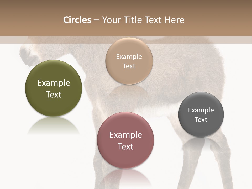 Portrait Baby Whinny PowerPoint Template