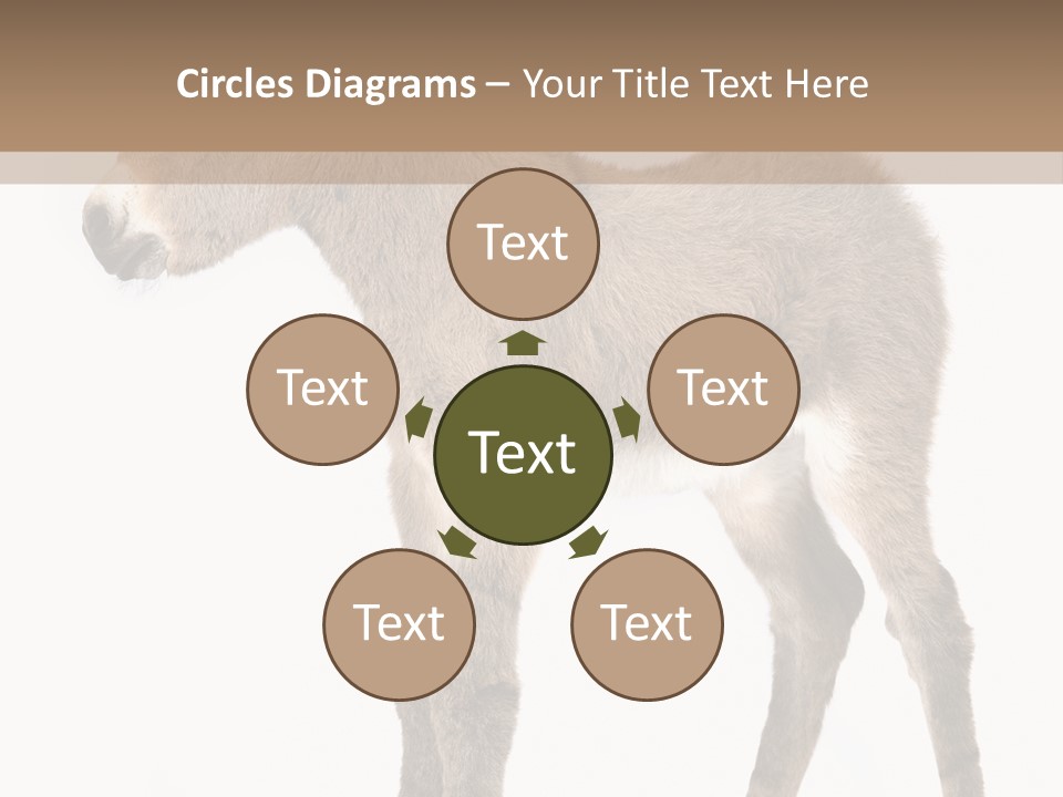 Portrait Baby Whinny PowerPoint Template