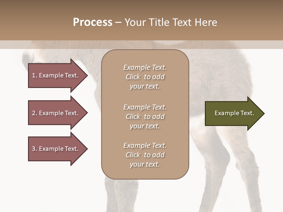 Portrait Baby Whinny PowerPoint Template