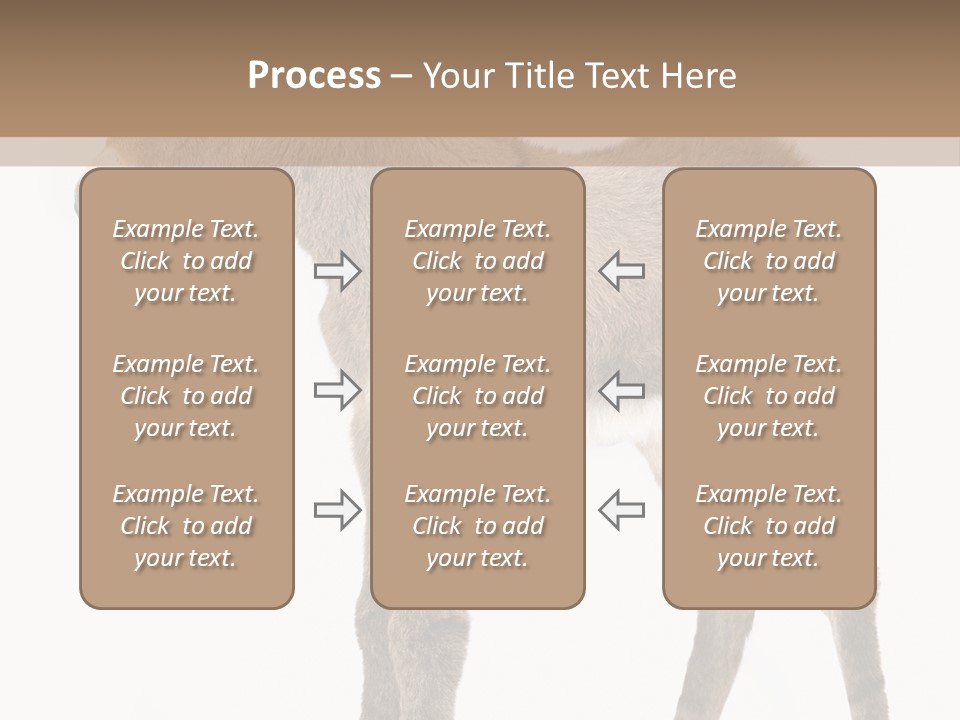 Portrait Baby Whinny PowerPoint Template