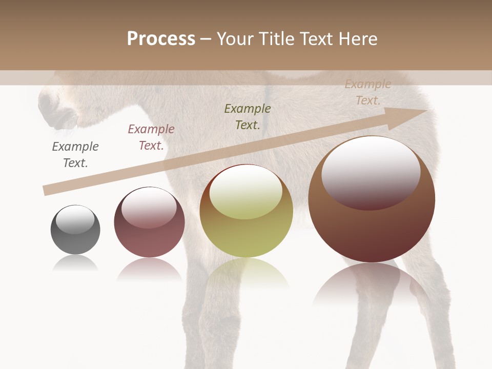 Portrait Baby Whinny PowerPoint Template