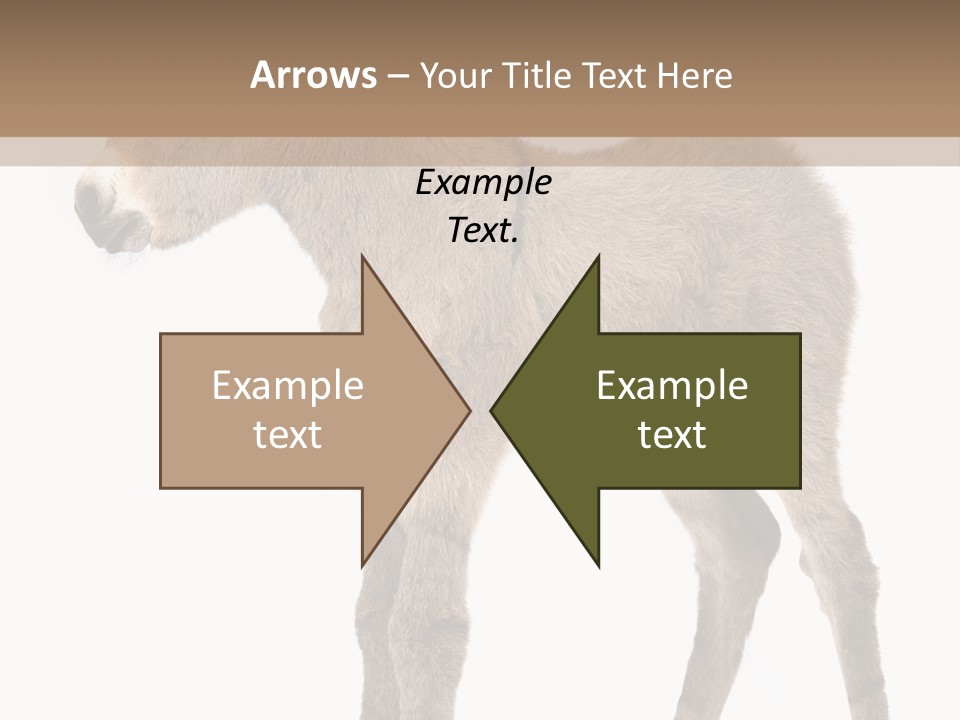 Portrait Baby Whinny PowerPoint Template