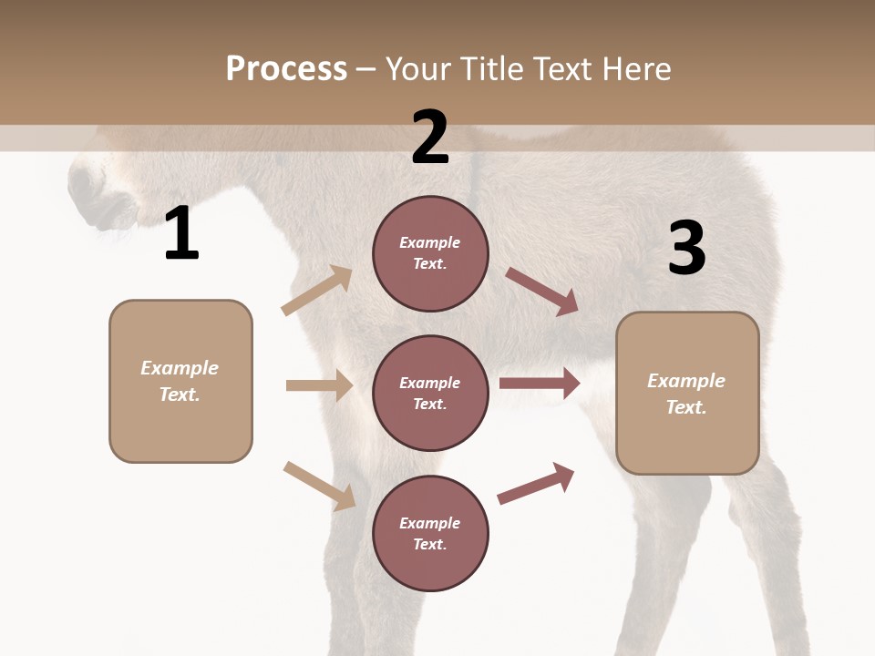 Portrait Baby Whinny PowerPoint Template