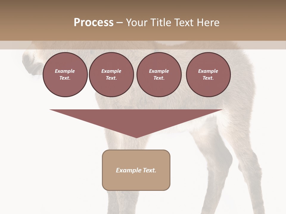 Portrait Baby Whinny PowerPoint Template
