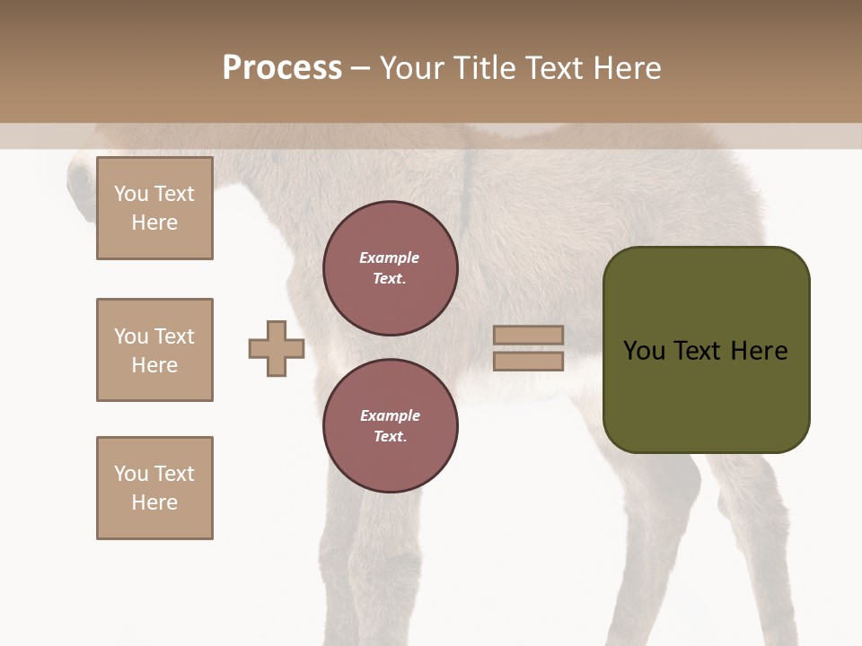 Portrait Baby Whinny PowerPoint Template