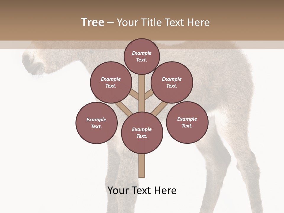 Portrait Baby Whinny PowerPoint Template