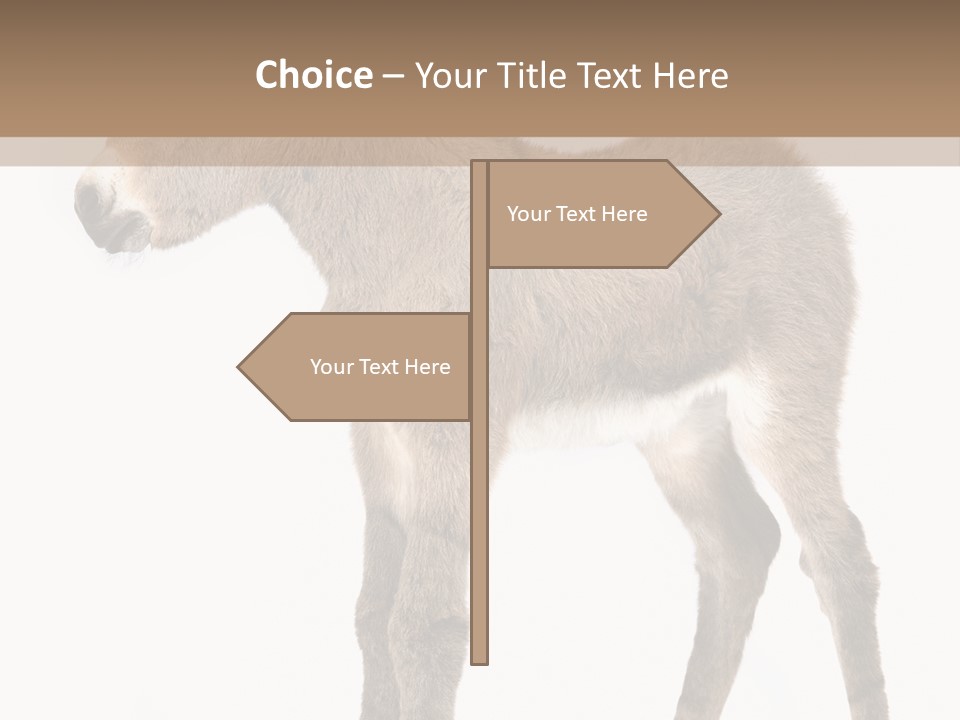 Portrait Baby Whinny PowerPoint Template