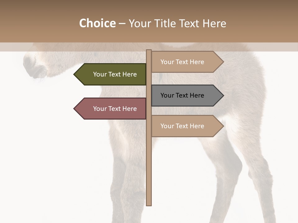 Portrait Baby Whinny PowerPoint Template