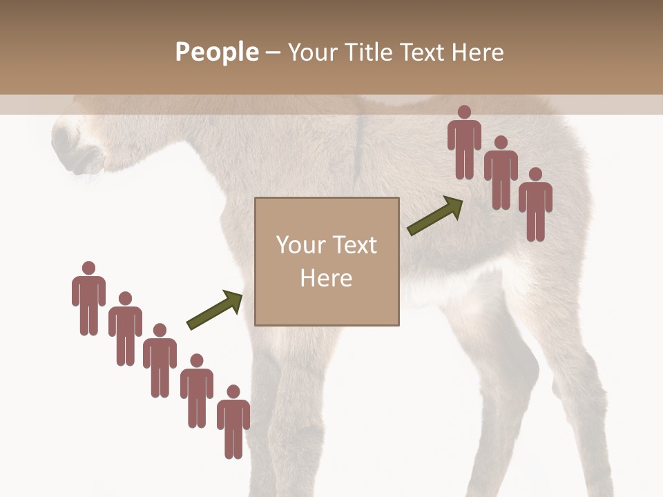 Portrait Baby Whinny PowerPoint Template