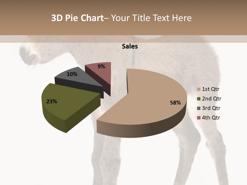 Portrait Baby Whinny PowerPoint Template