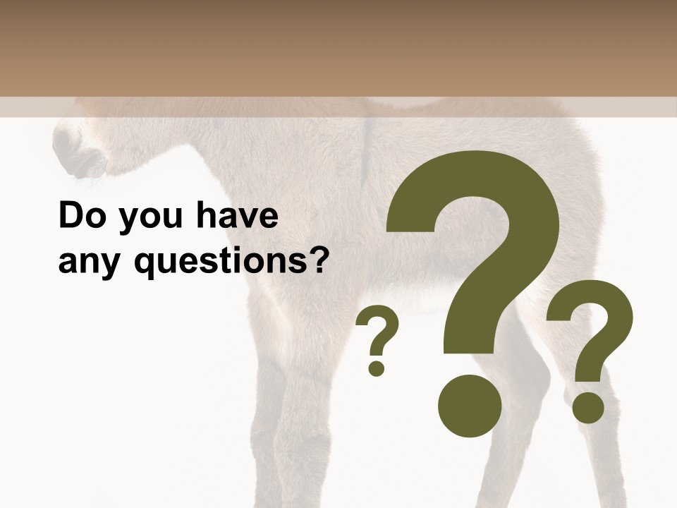 Portrait Baby Whinny PowerPoint Template