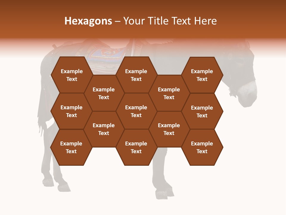 Donkey Entertainment Humor PowerPoint Template