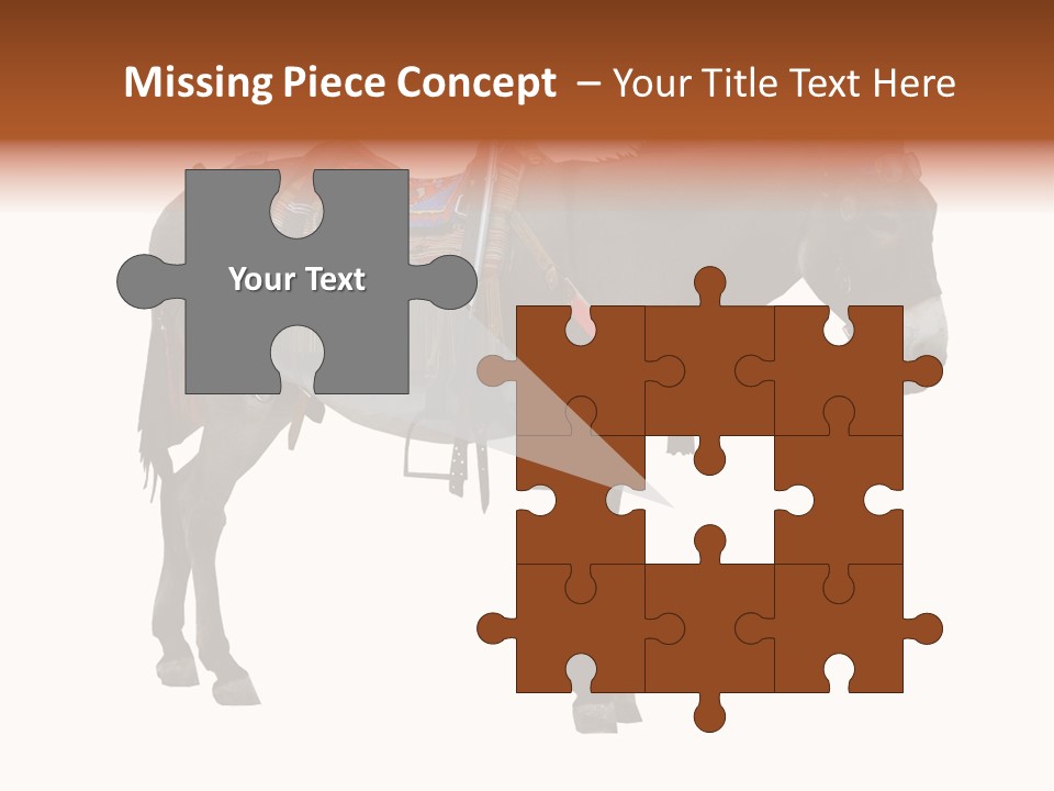 Donkey Entertainment Humor PowerPoint Template