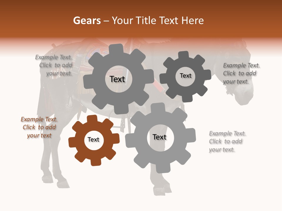 Donkey Entertainment Humor PowerPoint Template