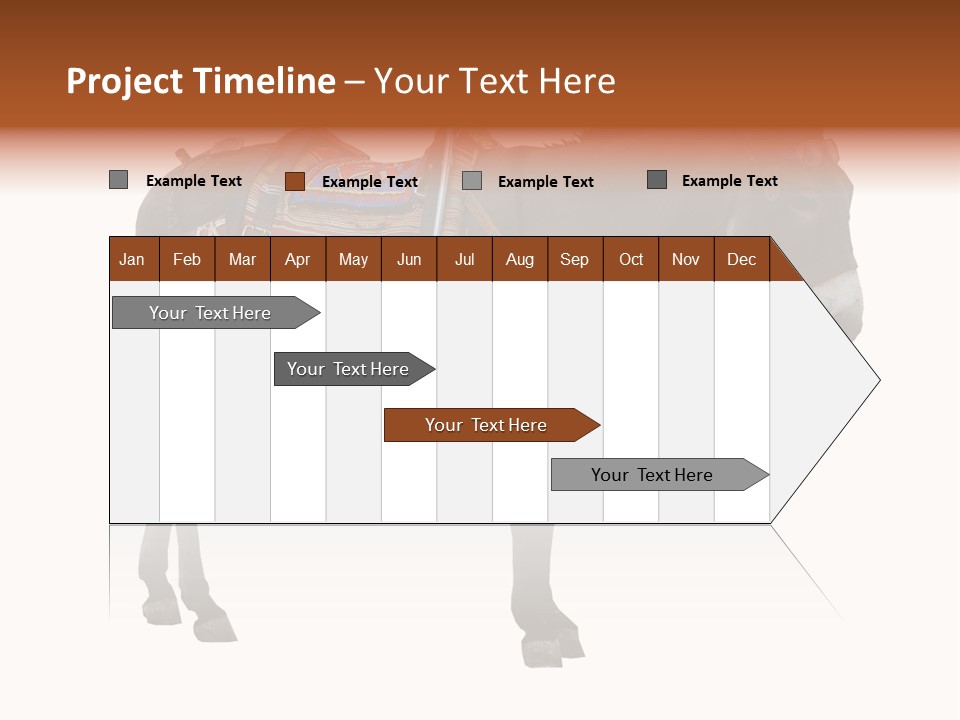 Donkey Entertainment Humor PowerPoint Template