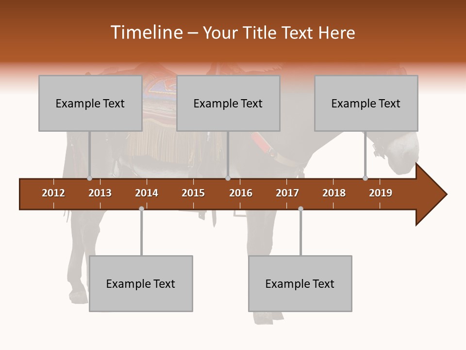 Donkey Entertainment Humor PowerPoint Template