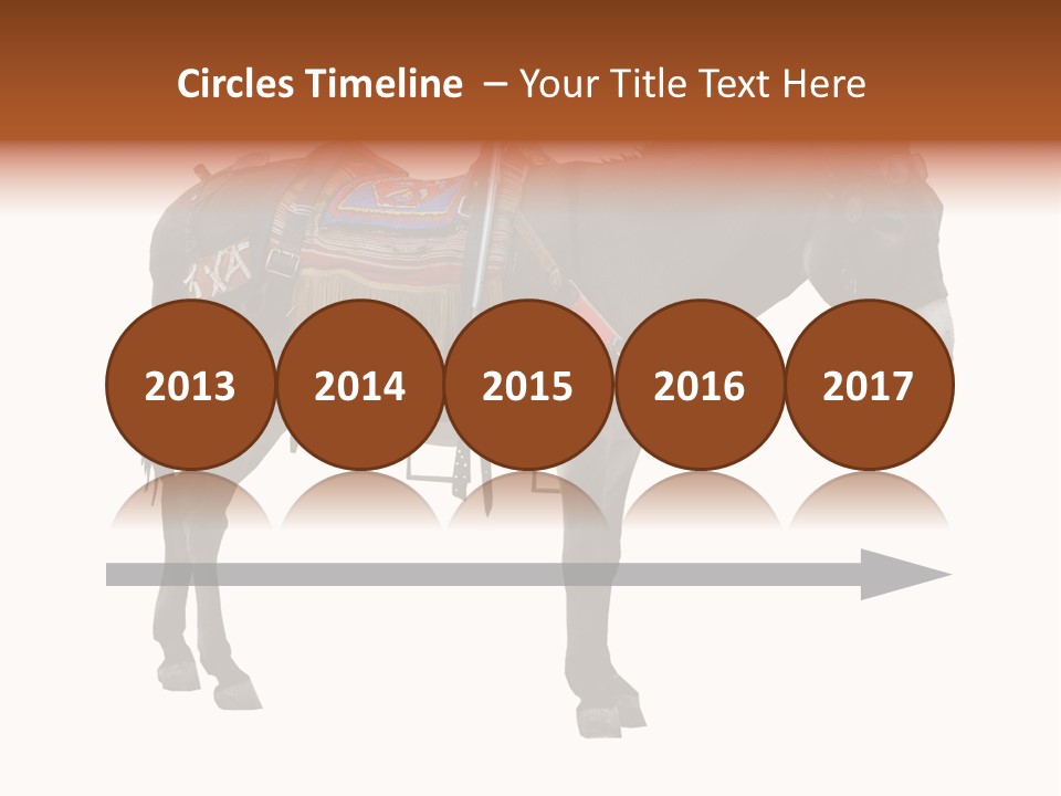 Donkey Entertainment Humor PowerPoint Template