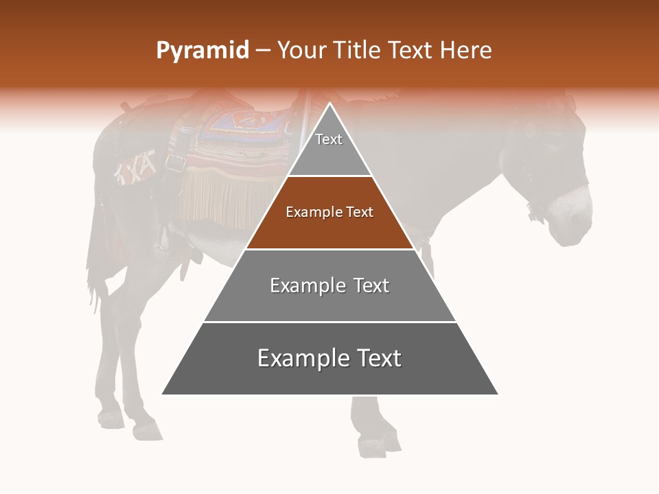 Donkey Entertainment Humor PowerPoint Template