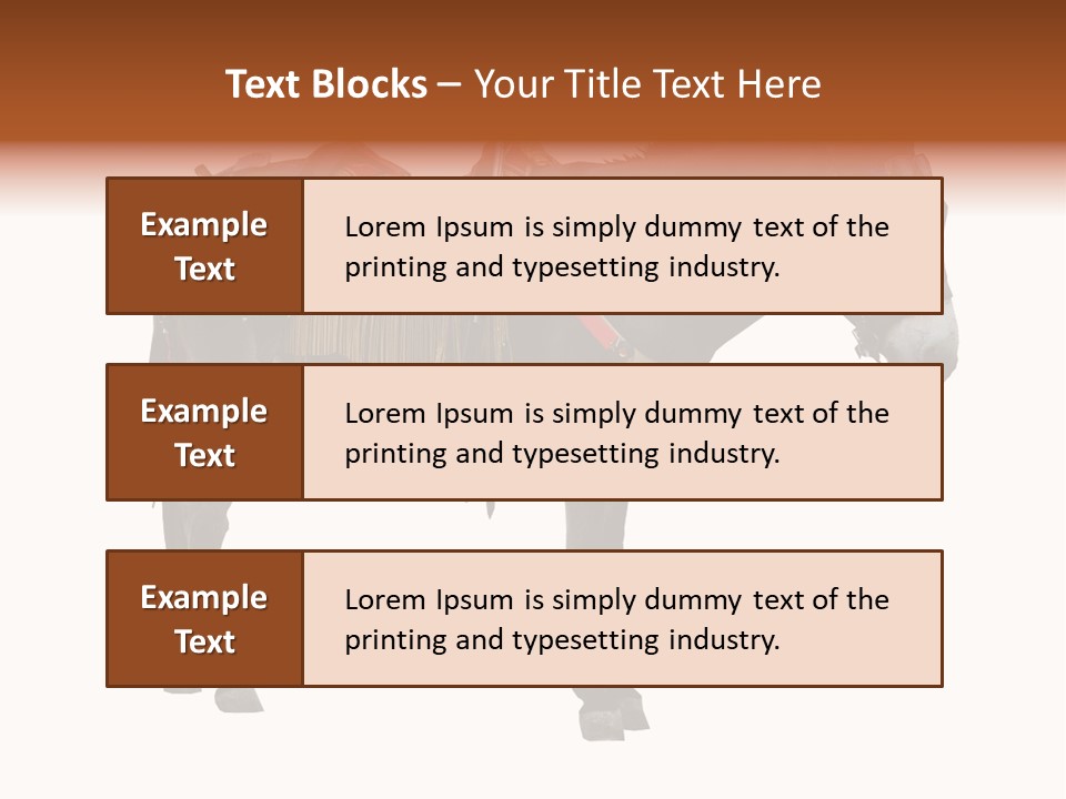 Donkey Entertainment Humor PowerPoint Template