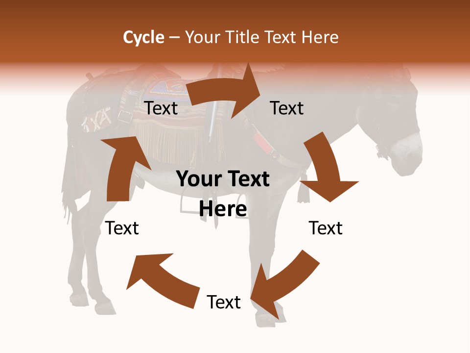 Donkey Entertainment Humor PowerPoint Template