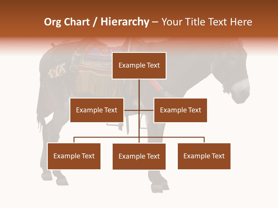 Donkey Entertainment Humor PowerPoint Template