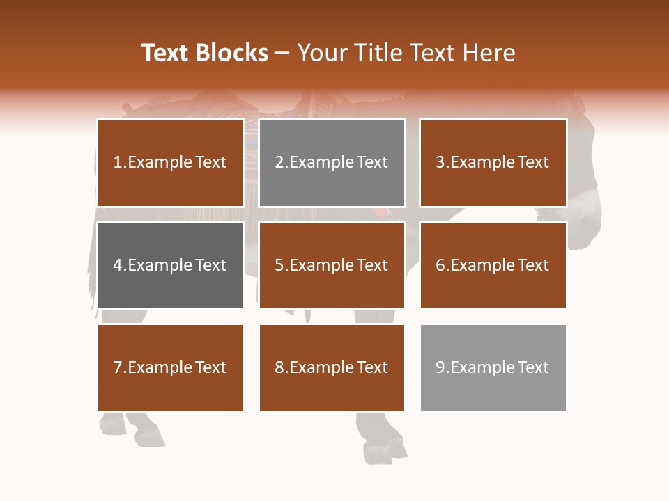 Donkey Entertainment Humor PowerPoint Template