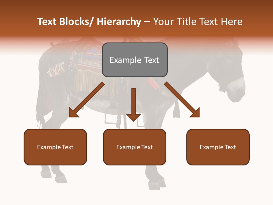 Donkey Entertainment Humor PowerPoint Template