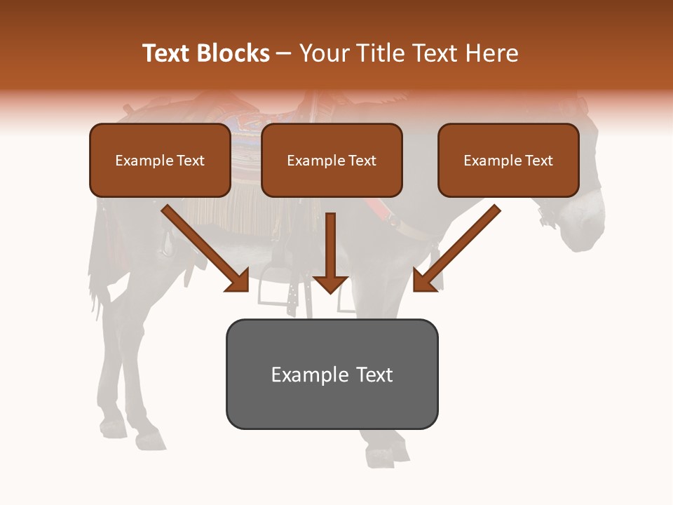 Donkey Entertainment Humor PowerPoint Template