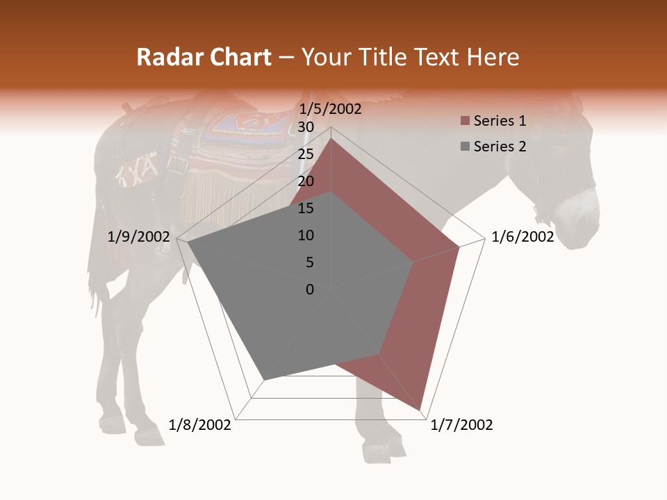 Donkey Entertainment Humor PowerPoint Template