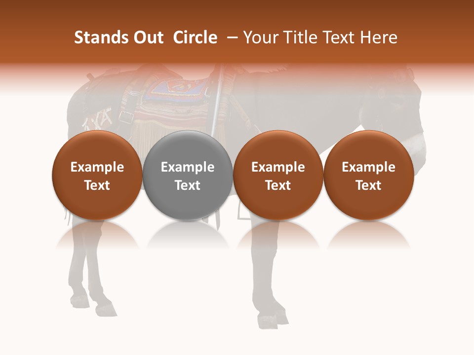 Donkey Entertainment Humor PowerPoint Template