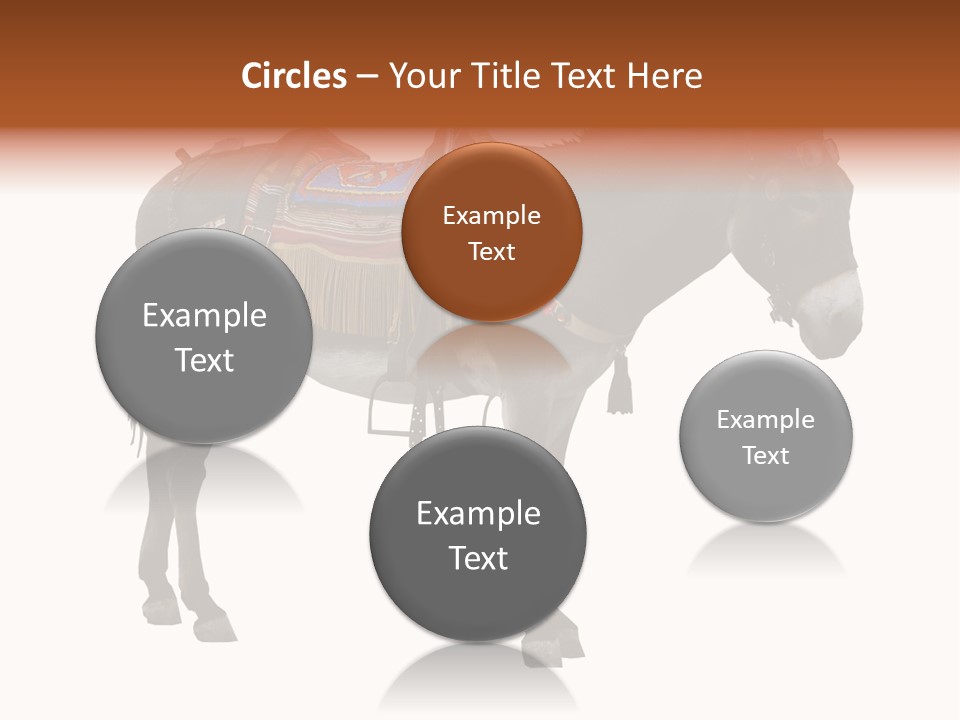 Donkey Entertainment Humor PowerPoint Template